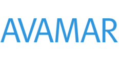 Top 10 Alternatives to Avamar: Analaysis of Popular Backup Software Solutions